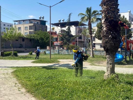 Akdeniz’in yeşil dokusu koruma altında