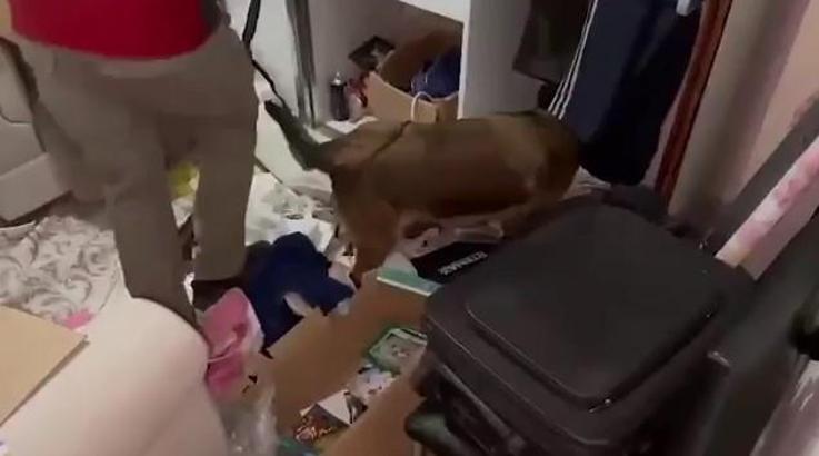 Elazığ'da 5 kilo metamfetamine 2 tutuklama