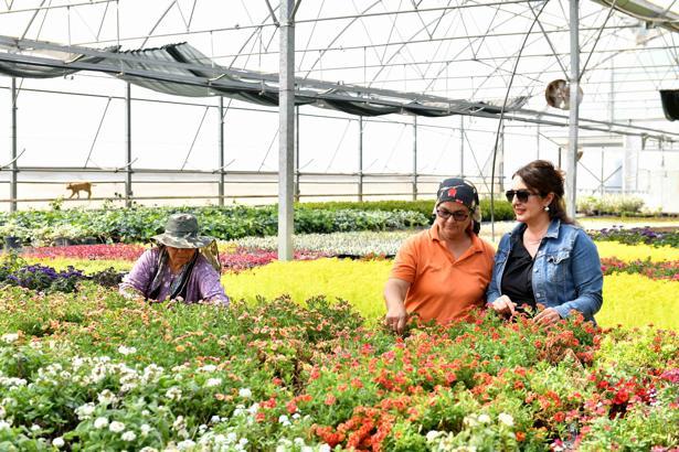 Antalya'da çiçeğin Rio Karnavalı başlıyor