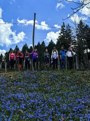 Mor yaylada yürüyüş