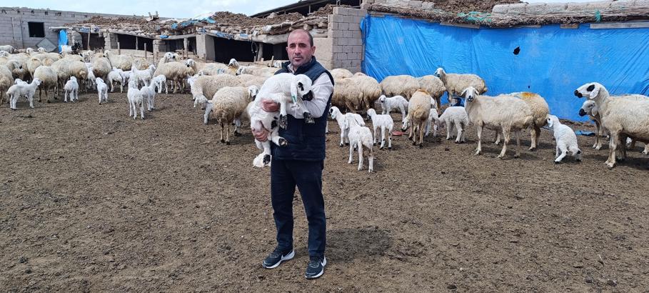Kayseri'de 600 küçükbaş sahibi besici, çoban bulamıyor