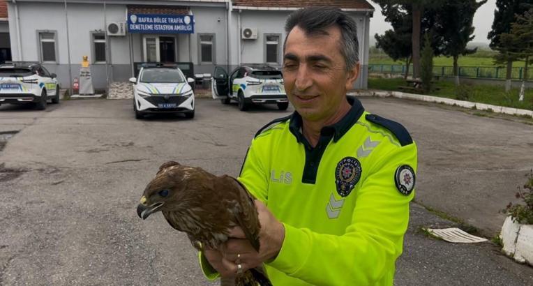 Polisin yaralı bulduğu doğan tedaviye alındı