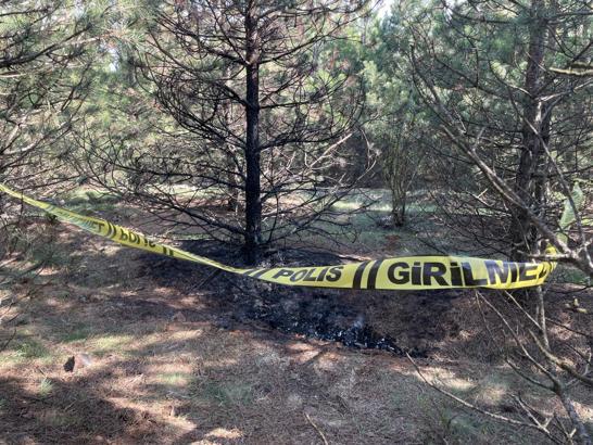 Deniz, ormanda yakılarak öldürüldü