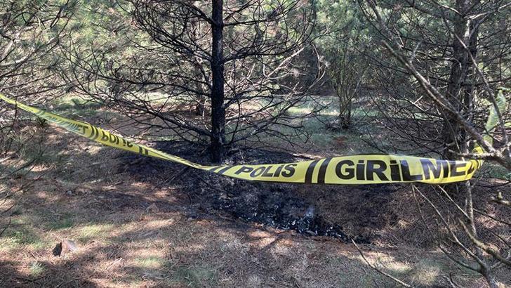 Deniz, ormanda yakılarak öldürüldü