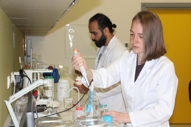 Nesli tükenmekte olan bitkiler laboratuvarda yaşatılıyor / Ek fotoğraflar