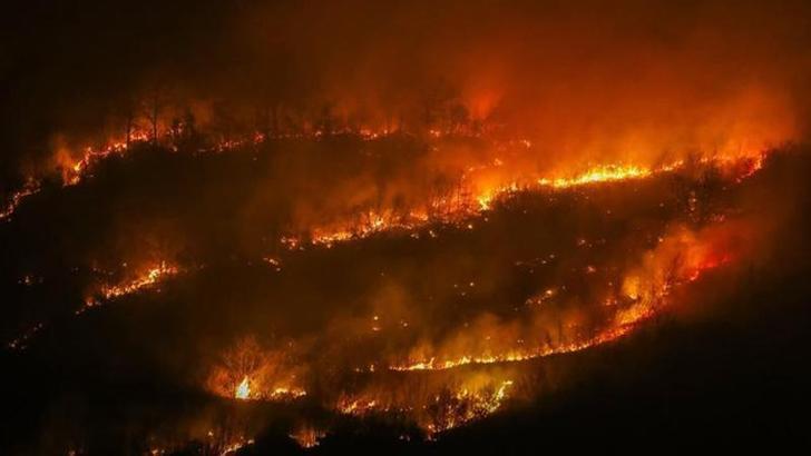 ABD’nin New Jersey eyaletinde orman yangını nedeniyle zorunlu tahliye emri verildi