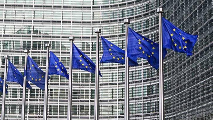 AB'den Hindistan'da düzenlenen silahlı saldırıya ilişkin açıklama