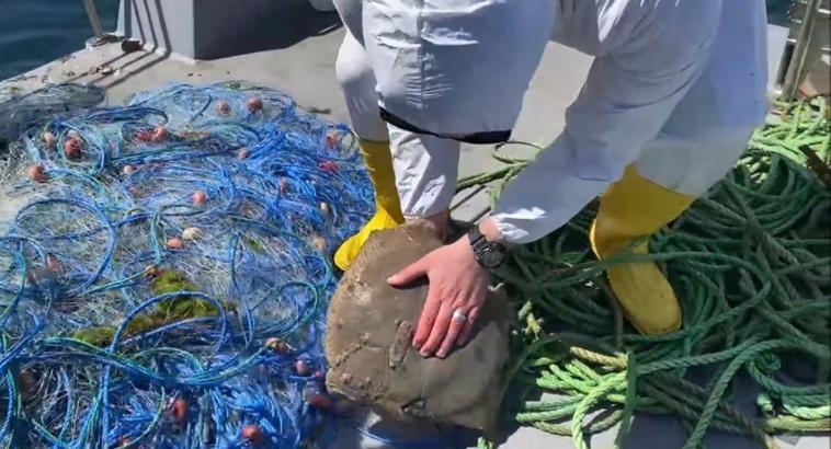 Yasağa rağmen ‘kalkan’ avlayan balıkçıların ağlarına el konuldu, balıklar suya salındı