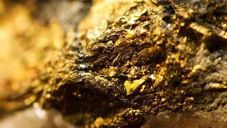 Fransız çiftçinin tarlasında 150 ton altın bulundu