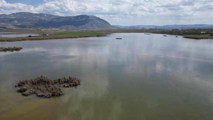 Mevsim etkisiyle gölün misafirleri gecikti