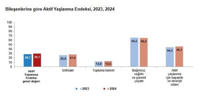TÜİK: Türkiye'nin aktif yaşlanma endeksi 29,7 oldu