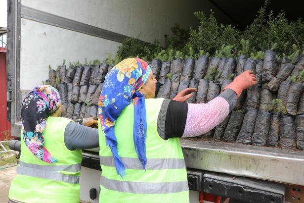 Muğla'dan Azerbaycan'a yeşil destek