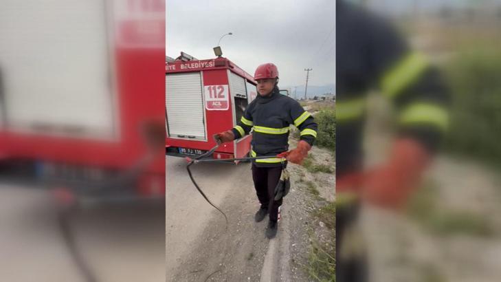 Osmaniye’de elektrik panosuna giren yılan itfaiye ekiplerince yakalandı
