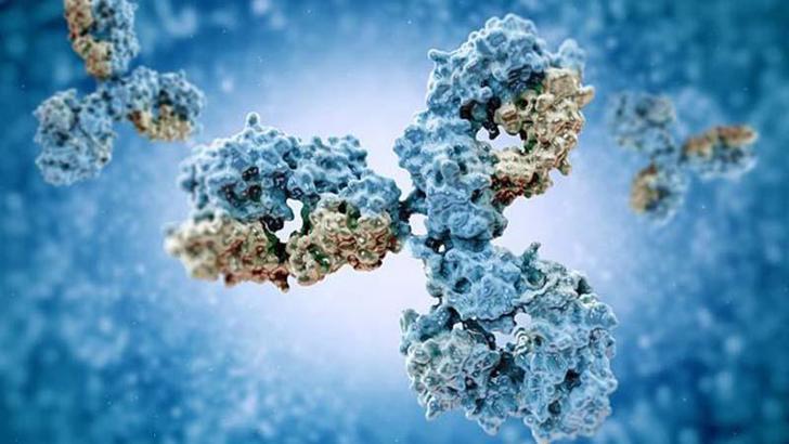 Araştırma: Bağışıklık sistemi, insanların ruh halini etkiliyor