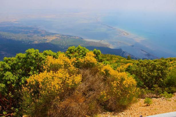 Dilek Yarımadası Büyük Menderes Deltası Milli Parkı, renklendi