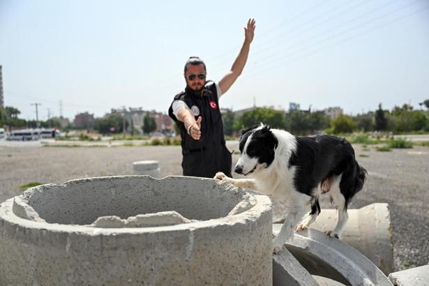 Ares ve Rex, uluslararası alanda göz doldurdu