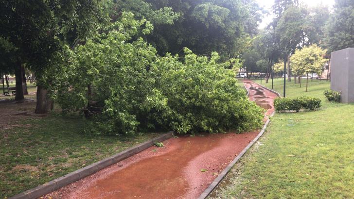 Tarsus'ta sağanak hayatı olumsuz etkiledi