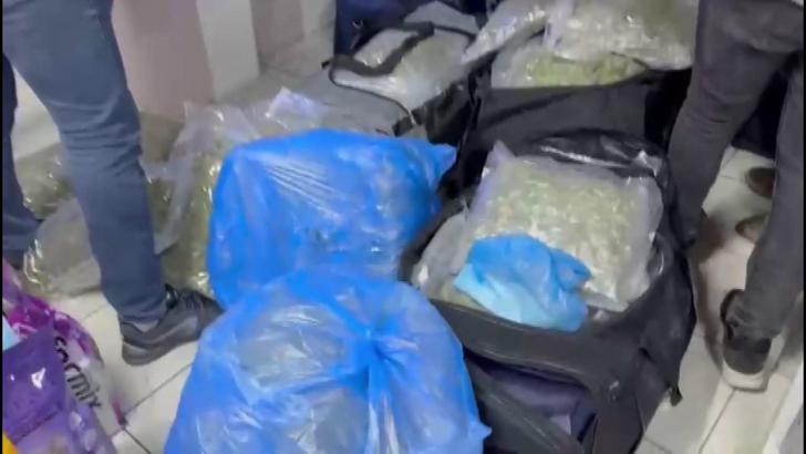 İstanbul- Petshopa uyuşturucu operasyonu: 4 gözaltı