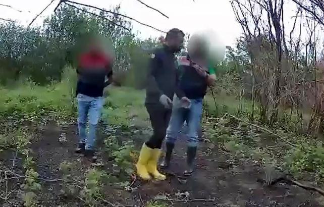 Adana'da 712 kök Hint keneviri eken şüpheli, gizli kamerayla tespit edilip, yakalandı