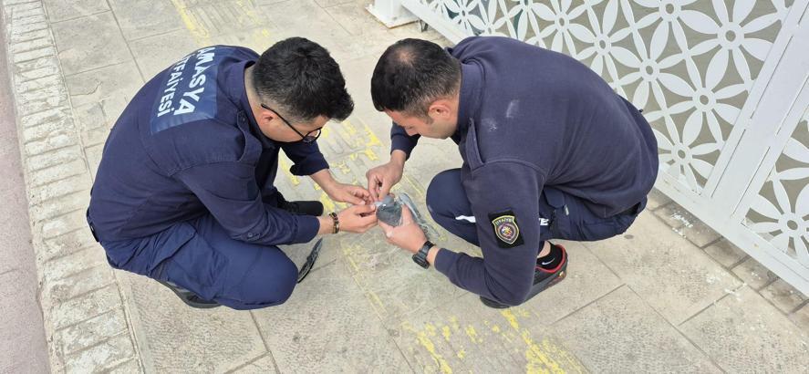 Yeşilırmak’ta ağa dolanan güvercini itfaiye kurtardı