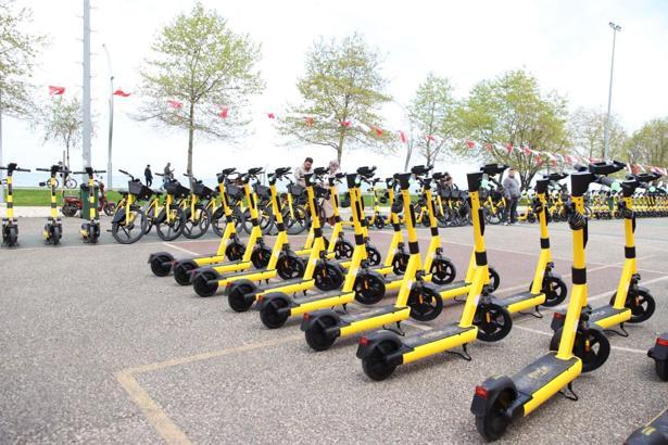 Ordu’da 'Tazı' dönemi başladı