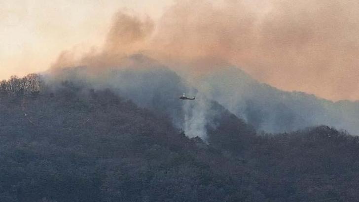 Güney Kore'de orman yangını nedeniyle tahliye karar verildi