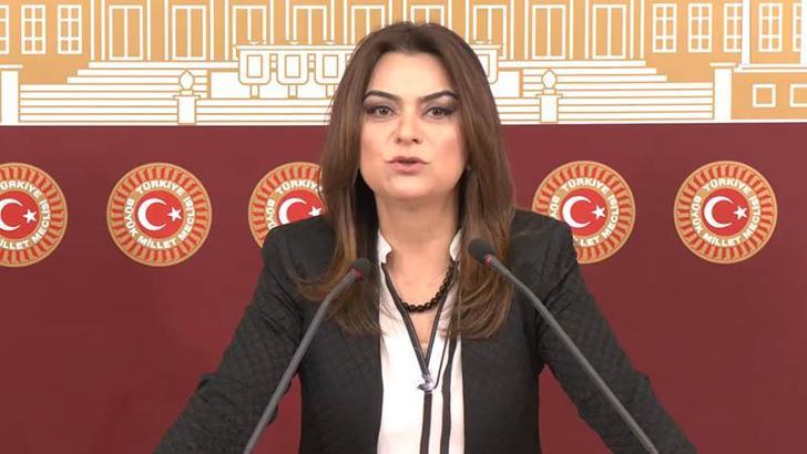 DEM Parti'li Koçyiğit: Tecridin sonlandırılması biricik önemdedir