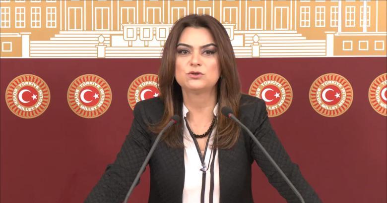 DEM Parti'li Koçyiğit: Tecridin sonlandırılması biricik önemdedir