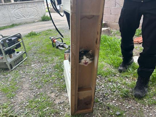 Sivas'ta kafası dolaba sıkışan kediyi itfaiye kurtardı