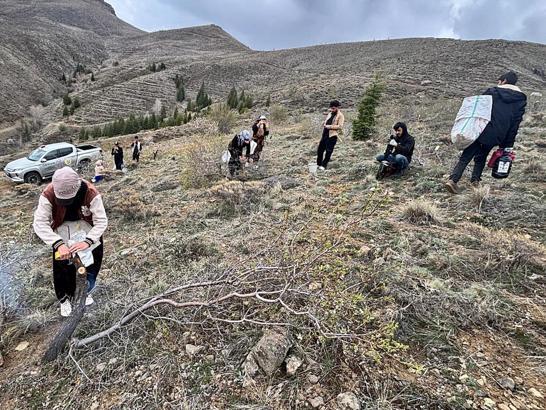 Niğde’de badem ağaçları aşılandı