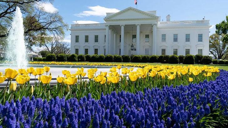 Beyaz Saray: Trump otomobil tarifelerine ilişkin kararname imzalayacak