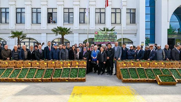 Yalova'da çiftçilere 375 bin adet salatalık ve biber fidesi dağıtıldı