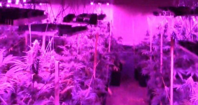 Bursa'da 600 polisle uyuşturucu operasyonu: 41 gözaltı