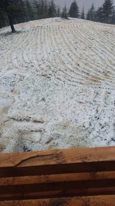 Feke'de dolu, tarım arazilerini vurdu