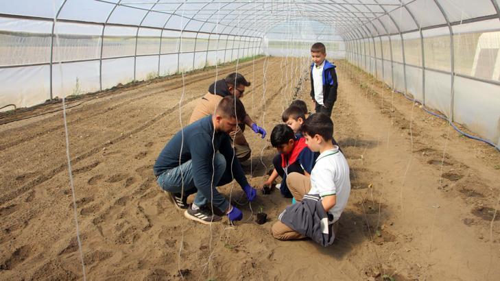 İlkokul öğrencileri fide dikti, uzmanından tarım eğitimi aldı