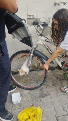 Bisiklet tekerine sıkışan yavru kedi kurtarıldı