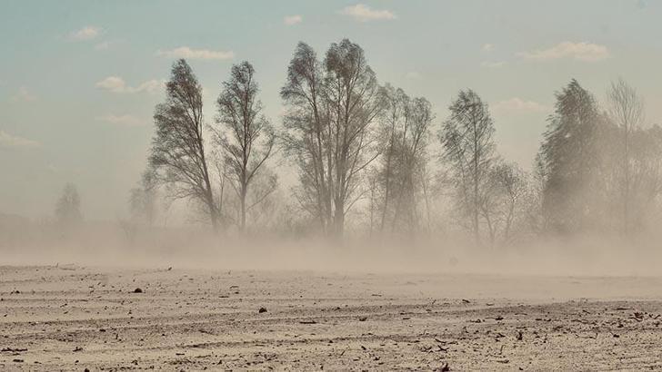 Arap ülkeleri kum fırtınasının etkisi altına girdi