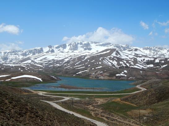 Mangalcının çöpü, driftçinin lastik izinin harap ettiği yayla, bu bahar çiçeksiz kaldı