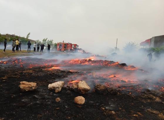 Mardin'de çıkan yangında saman balyaları küle döndü