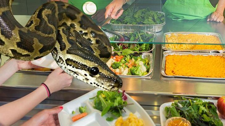 Hindistan'da okul yemeğinde ölü yılan bulundu, 100'den fazla çocuk hastalandı
