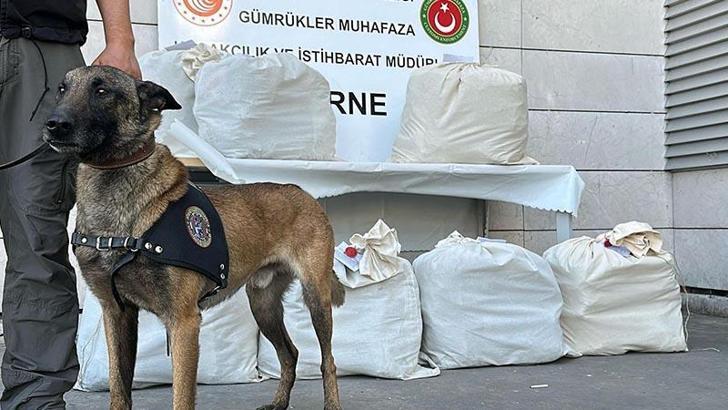 Kapıkule’de otobüsteki 87 kilo uyuşturucuyu Jeff buldu; 3 tutuklama