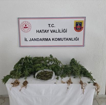 Hatay’da uyuşturucu operasyonları: 67 gözaltı