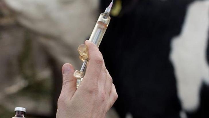 Tayland’da şarbon kaynaklı ilk ölüm bildirildi