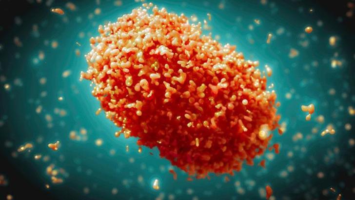 Pakistan'ın Bacur bölgesinde maymun çiçeği vakalarındaki artış nedeniyle 12 günlük kapanma ilan edildi