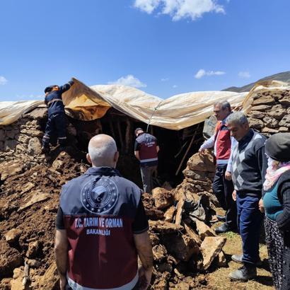 Bingöl'de ahırın tavanı çöktü; 1 inek öldü, 10'u kurtarıldı