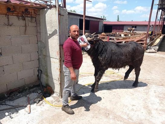 Afyonkarahisar'da komşuların arazi kavgası kanlı bitti: 1 ölü