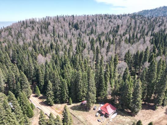 Bartın ve Karabük yaylalarında ilkbahar güzelliği