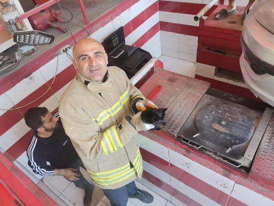 Otomobilin motor kısmına sıkışan yavru kedi kurtarıldı