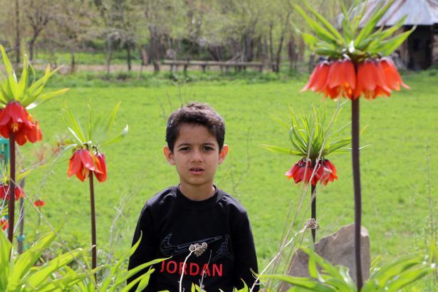 Yüksekova'da ters laleleri jandarma ekipleri koruyor