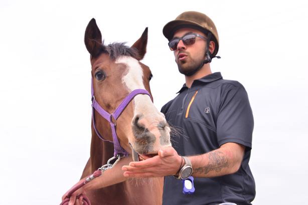 Köpek eğitiminde kullanılan ‘clicker’ ile atları eğitiyorlar / Ek fotoğraflar